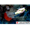 LedLenser D14.2 Diving Light Flashlight - Image 5