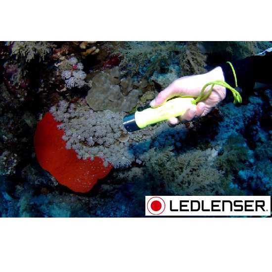 Diving Light Pressure Daylight Underwater Ledlenser D14