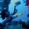 Diving Light Pressure Flashlight Underwater Ledlenser D14