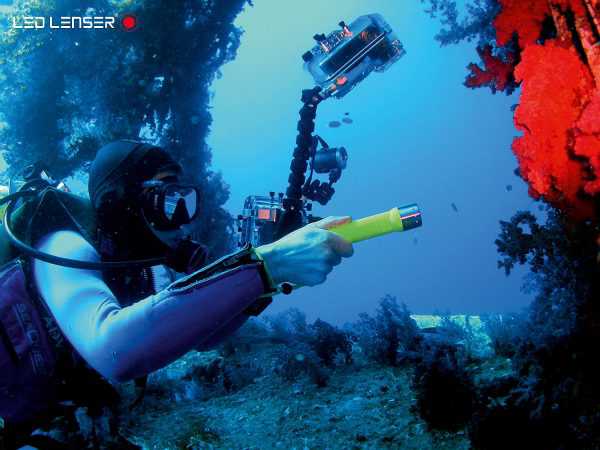 Diving Light Pressure Flashlight Underwater Ledlenser D14