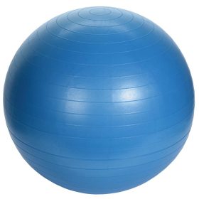 Bola de ioga para fitness 55 cm XQ Max Home