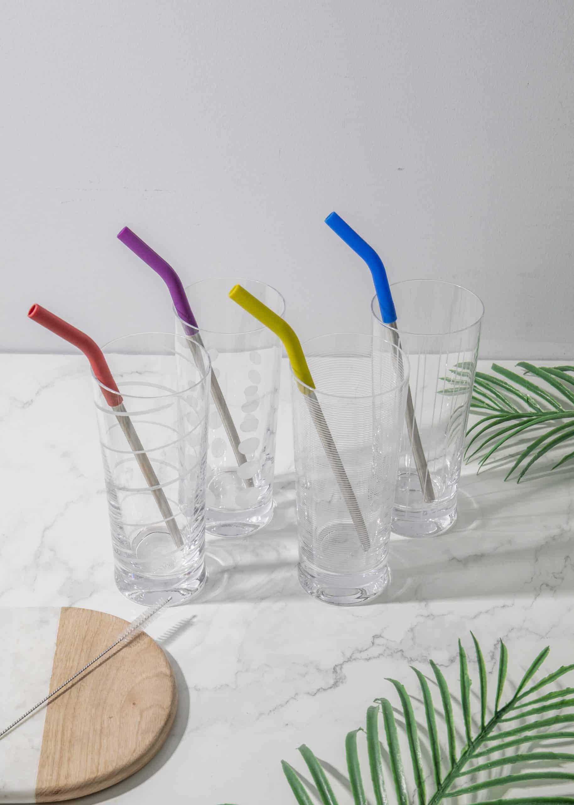 Reusable Metal Straw Bruch Cleaner Colourworks