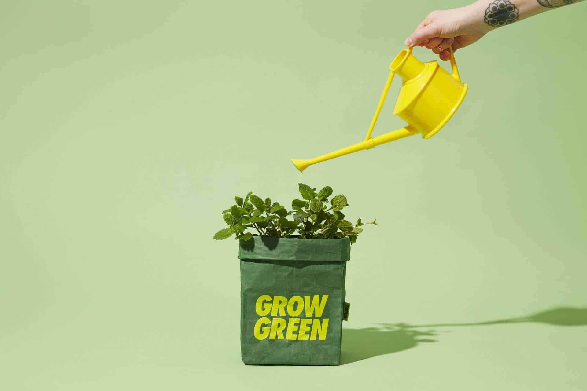 Dārzeņu audzēšanas soma Eco Luckies For Good Grown Hero