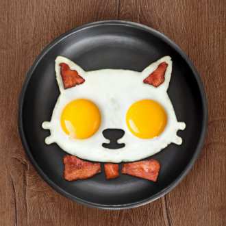Desayuno Figuras Graciosas Huevos Gato Fred y Amigos