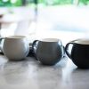 Maxwell & Williams Tint 450ml Snug Mug