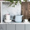Maxwell & Williams Tint 450ml Snug Mug