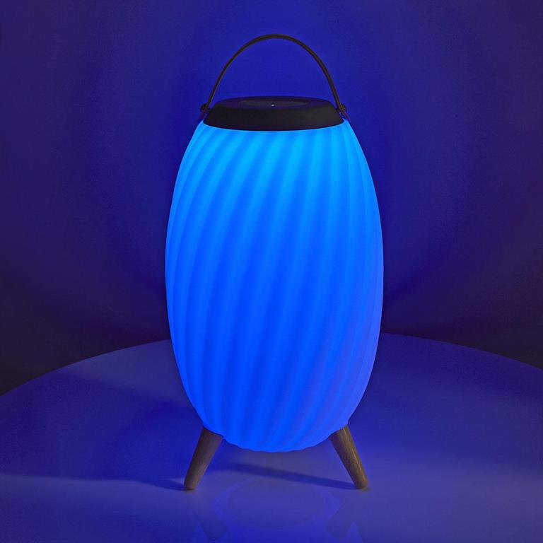 Nedis Bluetooth® kõlar koos meeleoluvalgustusega – 60 W