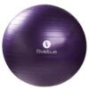 Sveltus Gymball Ø75cm - Retail Box - Purple