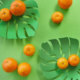 Balvi Fruit Platter Monstera - 30cm