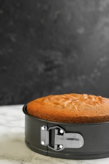 MasterClass Non-Stick 20cm Loose Base Spring Form Cake Pan