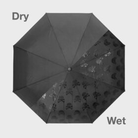 Chupar guarda-chuva mágico de caveiras escondidas do Reino Unido