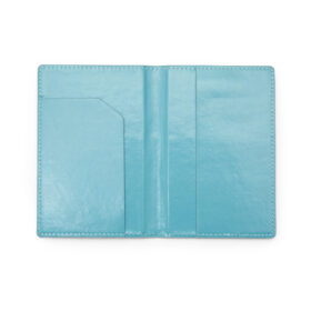 Kikkerland Blue Jet Set Passport Case