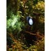 Tarmo Solar Light Spot with Spike