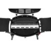 Mustang Amarillo Gas Grill