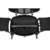 Mustang Amarillo Gas Grill